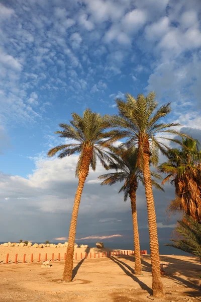 Dia lindo, céu limpo e ar puro. Israel — Fotografia de Stock