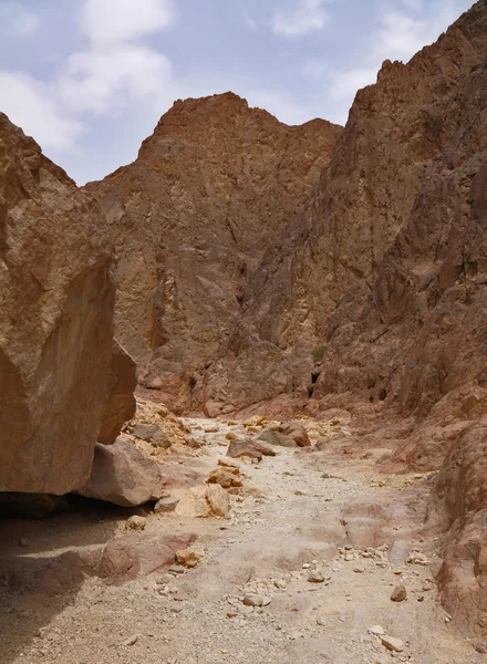 Toeristische lopen op een route in woestijn — Stockfoto