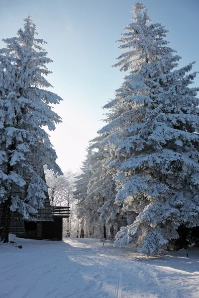 Het tatra gebergte. bos en landelijke houten huis — Stockfoto