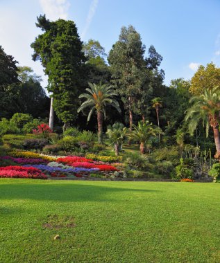 The flowerbeds in the park