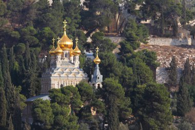 Golden domes of the Church clipart