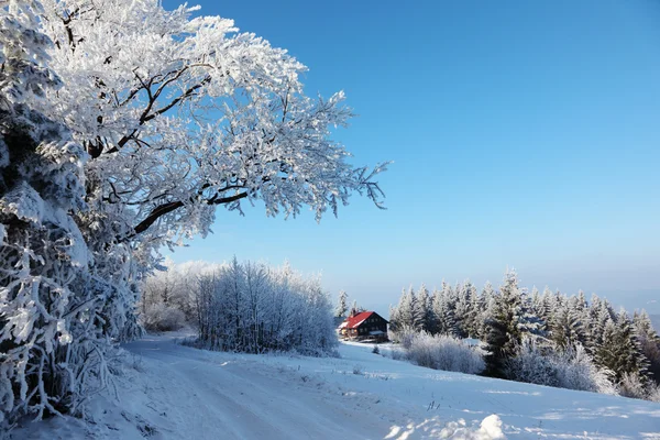 Wintermorgen in den Bergen — Stockfoto