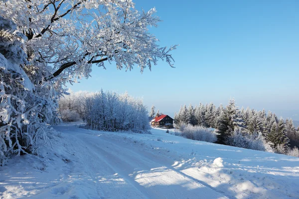 Karla kaplı yol — Stok fotoğraf