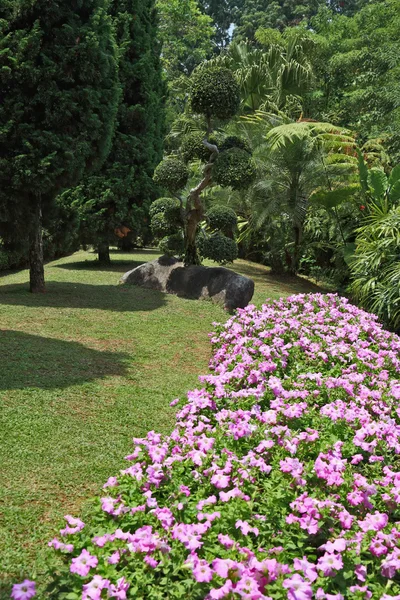 Lindos canteiros de flores, gramados e árvores tropicais — Fotografia de Stock