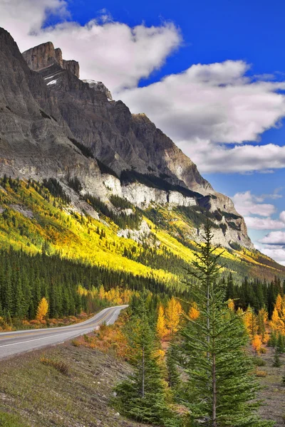 Horská silnice na podzim. — Stock fotografie