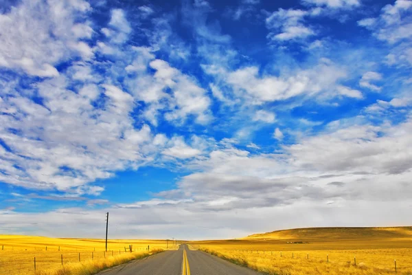 The American prairie in September — Stockfoto