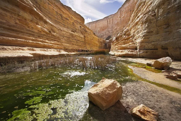 Magnificent gorge En-Avdat — Stock Photo, Image