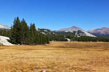 yosemite Parkı bir parçası