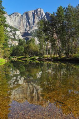 In the clear water reflecting the mountains and the trees