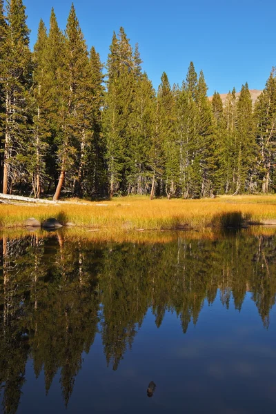 Um lago tranquilo, rodeado de bosques — Fotografia de Stock
