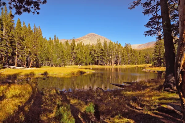 Un lago tranquilo en las montañas —  Fotos de Stock