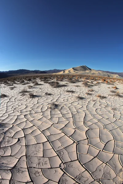 stock image The white cracked soil.