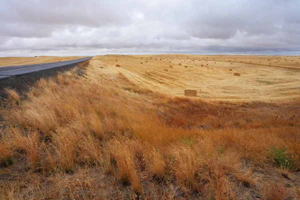 Grande rodovia entre campos após a colheita — Fotografia de Stock