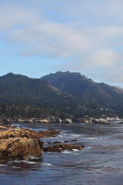 Reserve Point Lobos on the Pacific Ocean — Stock Photo, Image