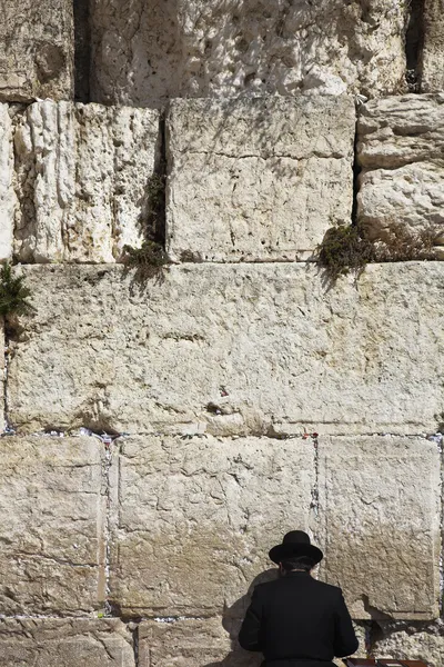 Le Juif religieux priant sur le mur occidental de Jérusalem — Photo