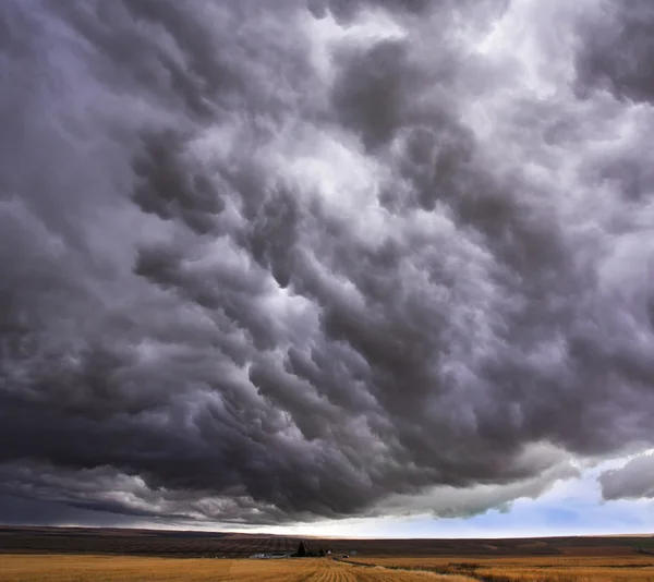 Enormous storm cloud above an field