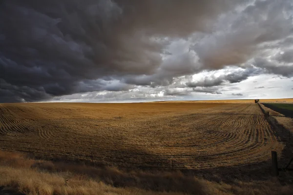 A huge thundercloud above fields of Montana — Stock Photo, Image
