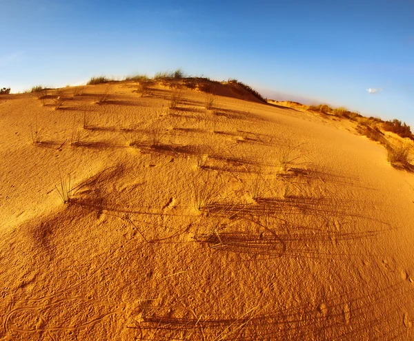 Sandy dunes at coast of Mediterranean sea — Stock Photo, Image