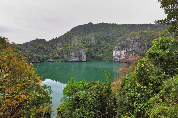 Magnifique lac avec de l'eau vert vif — Photo