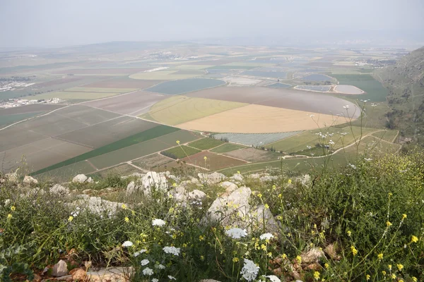 stock image Picturesque valley in the Israeli Galilee.