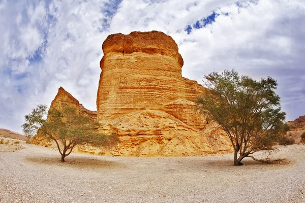 Malebná krajina v kamenné poušti. — Stock fotografie