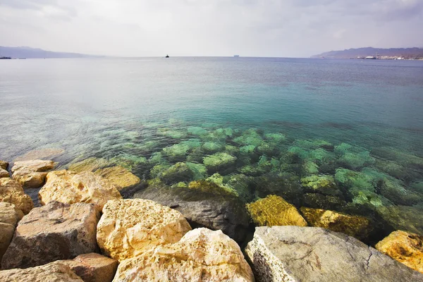 Червоне море — стокове фото