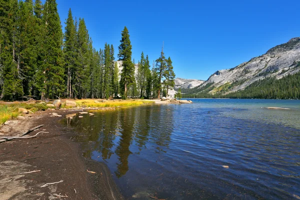 The mountain lake on pass Tioga — Stock Photo, Image
