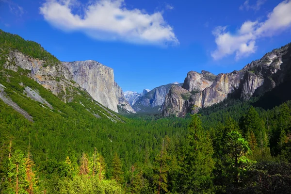 Panorama av park yosemite — Stockfoto