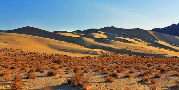 Чудовий піщані дюни Eureka на схід сонця — стокове фото