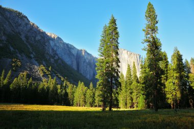 yosemite yılında en güzel Kayran