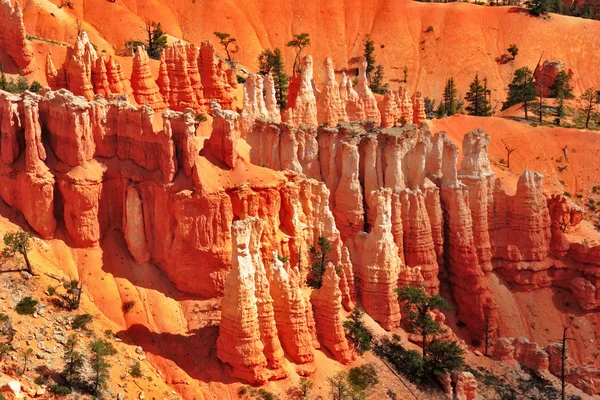 The orange rocks from sandstone in park " Bryce " — Stock Photo, Image