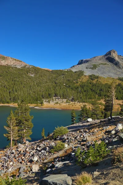 Stony coast of lake in Yosemite — Stock Photo, Image