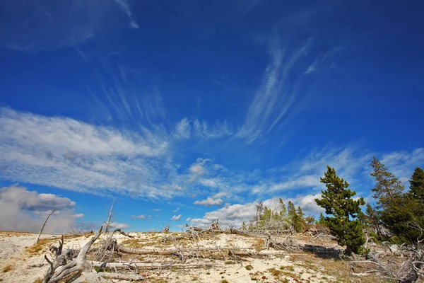 Mavi gökyüzünün yukarıda yellowstone Milli Parkı — Stok fotoğraf