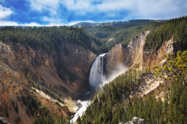 The well-known Yellowstone falls — Stock Photo, Image
