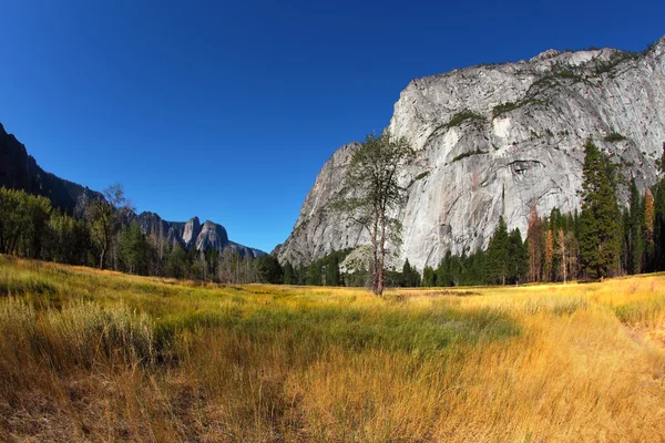 Magnificent glade in Yosemite park. — Stock Photo, Image