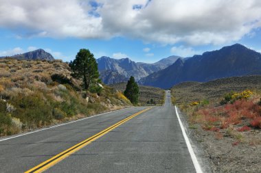 Çölün içinden geçen harika bir yol.