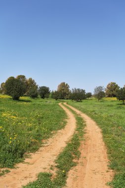 Mart, kırsal toprak yol