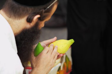 Religious Jew chooses citron- on the bazaar clipart