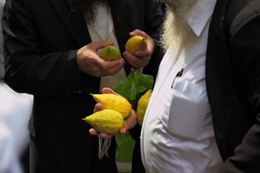 The citron- on the bazaar clipart