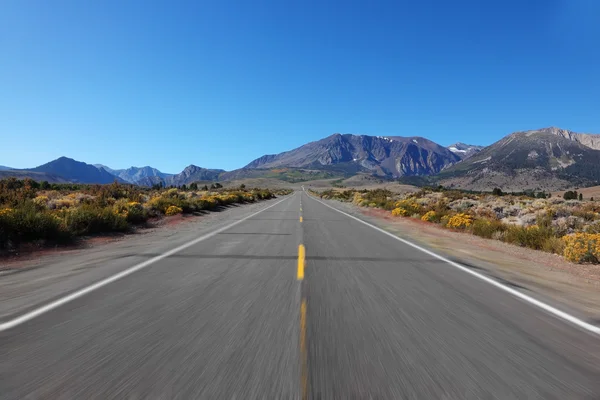 Een reis op hoge snelheid door de herfst woestijn — Stockfoto