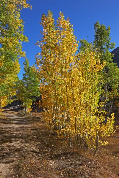 Herbstliche Farben der Straße — Stockfoto