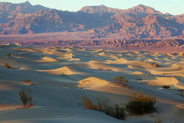 As dunas de areia planas Mesquete — Fotografia de Stock