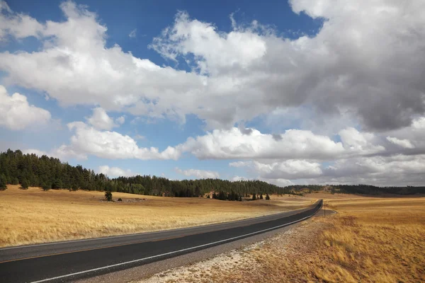 Estrada e o magnífico céu nublado — Fotografia de Stock
