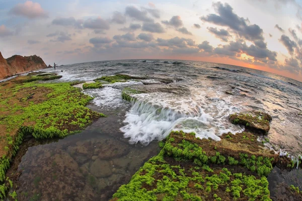 Середземне море під час відливу — стокове фото