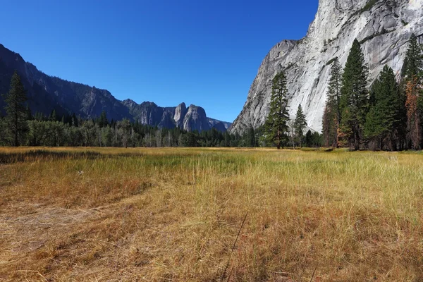 O prado em Yosemite Park — Fotografia de Stock