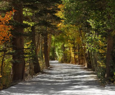 toprak yol dağ