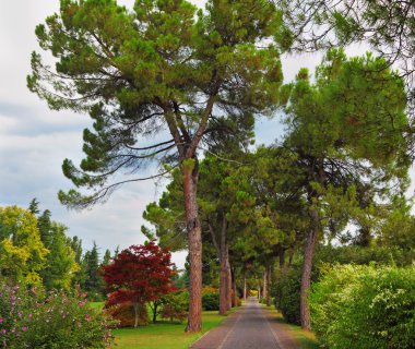 muhteşem park sigurta