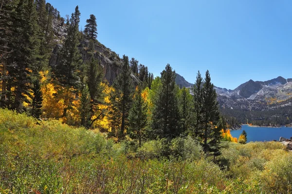 Egy hegyi tó és a sárga és a zöld fák — Stock Fotó