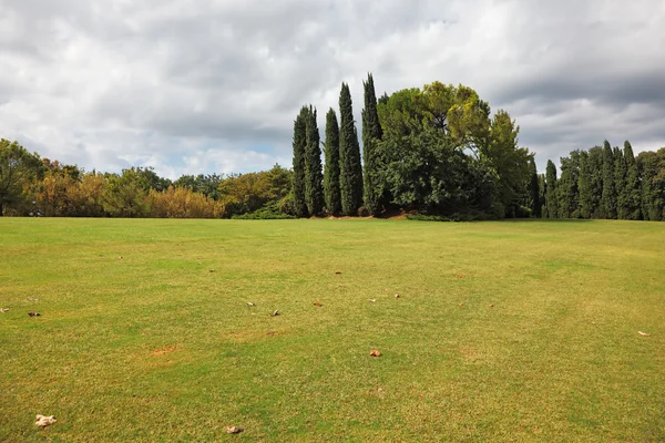 Enorme campo ingiallito — Foto Stock