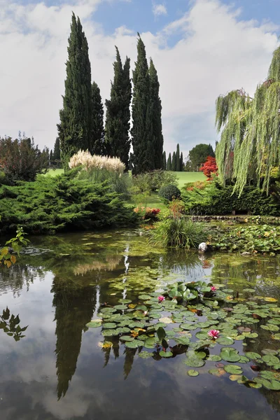 Trädgård sigurta, cypress och lily — Stockfoto